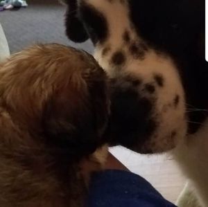 Meet your Posher, Stacey